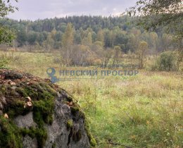 21 Га Выборгский р-н